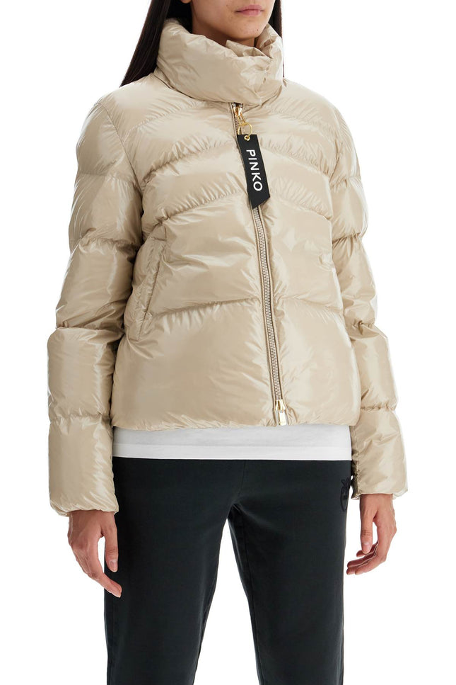 Pinko "crystal nylon down jacket"