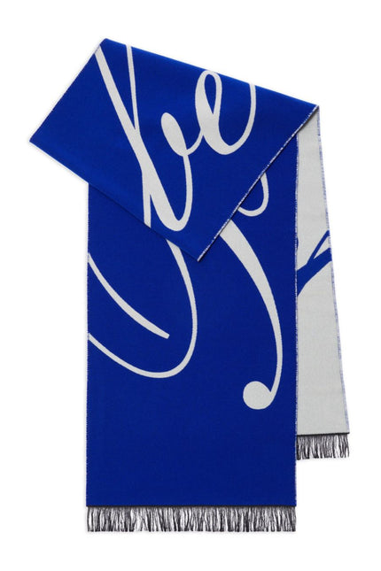 Burberry Scarfs Blue