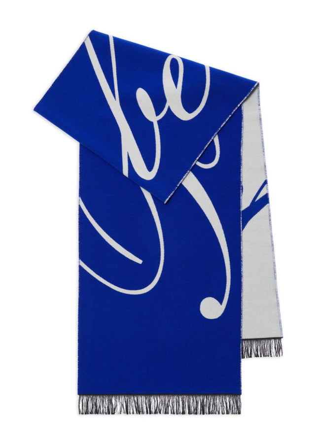 Burberry Scarfs Blue