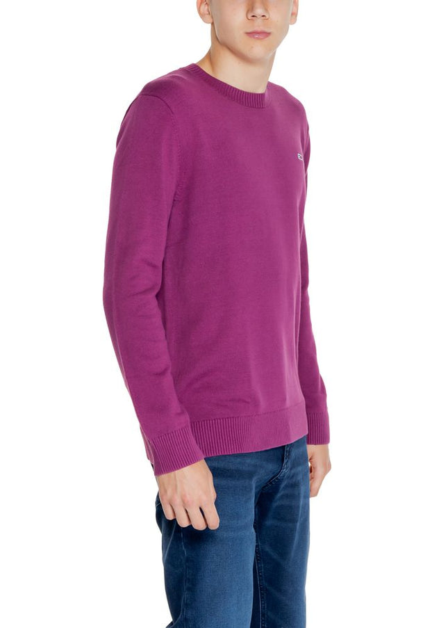 Tommy Hilfiger Jeans Purple Organic Cotton Sweater