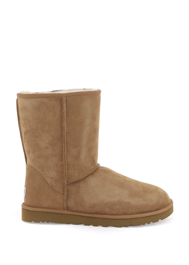 Ugg classic short boots-Boots-UGG-40-Urbanheer