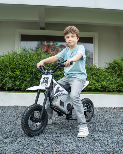 36V Freddo Electric Dirt Bike With Brushless Motor