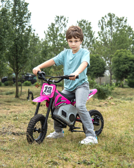 36V Freddo Electric Dirt Bike With Brushless Motor