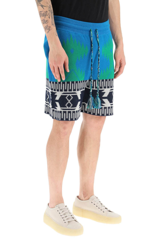 Alanui jacquard cotton icon shorts-men > clothing > trousers > bermuda and shorts-Alanui-Urbanheer