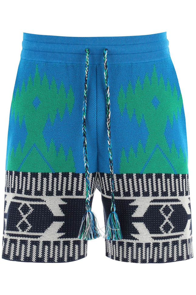 Alanui jacquard cotton icon shorts-men > clothing > trousers > bermuda and shorts-Alanui-Urbanheer