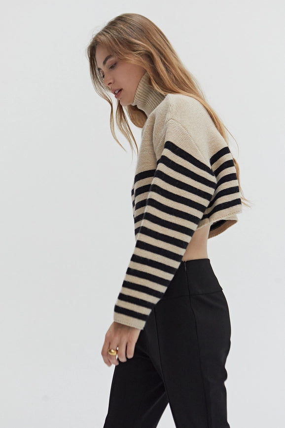 Avery Turtle Neck Striped Sweater Top TAUPE/BLACK