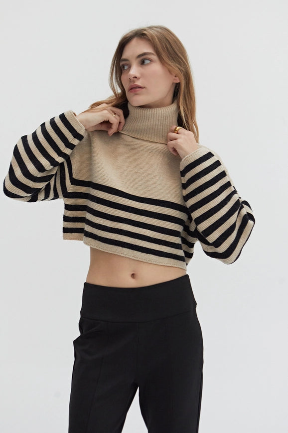 Avery Turtle Neck Striped Sweater Top TAUPE/BLACK