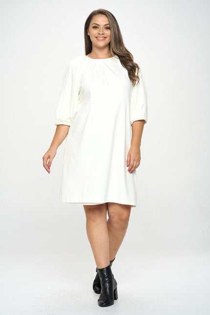 Balloon Sleeve Dress-2