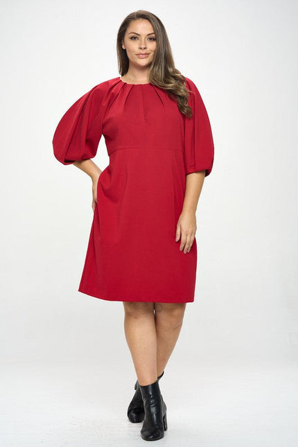 Balloon Sleeve Dress-3