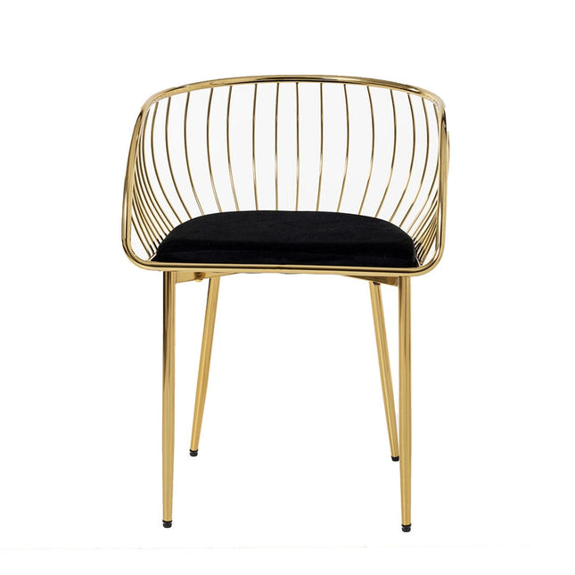 Black Velvet Seat Chair And Gold Frame