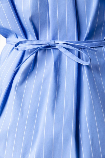 Brienna Striped Blouse Dress | Blue