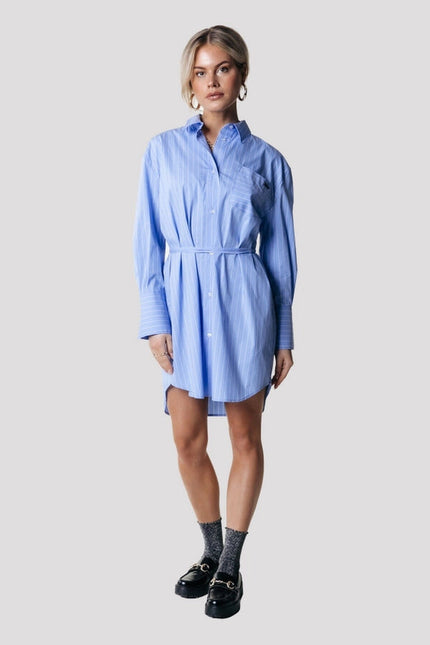 Brienna Striped Blouse Dress | Blue