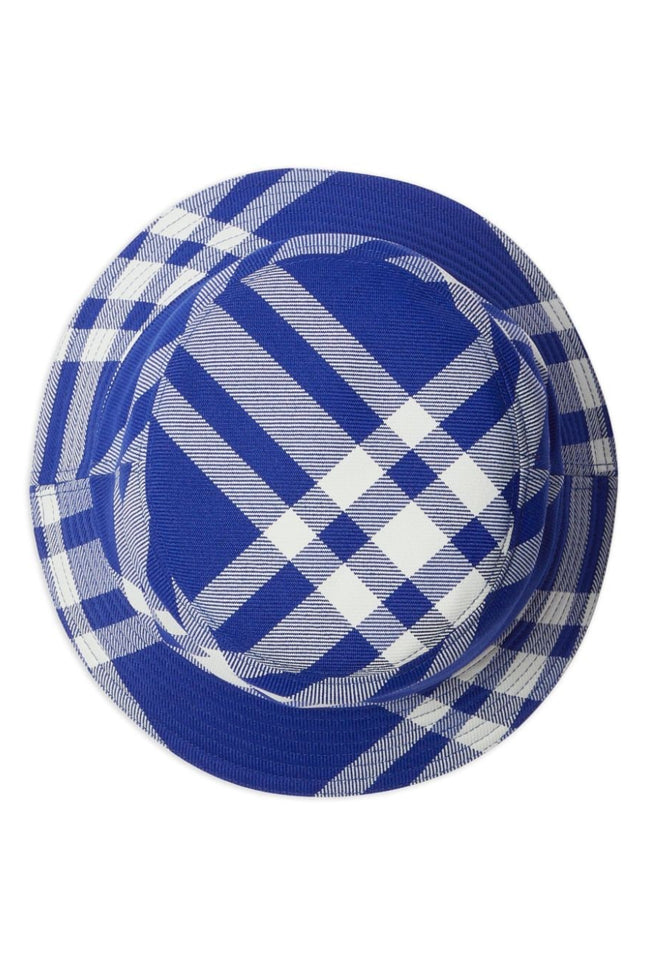 Burberry Hats Blue