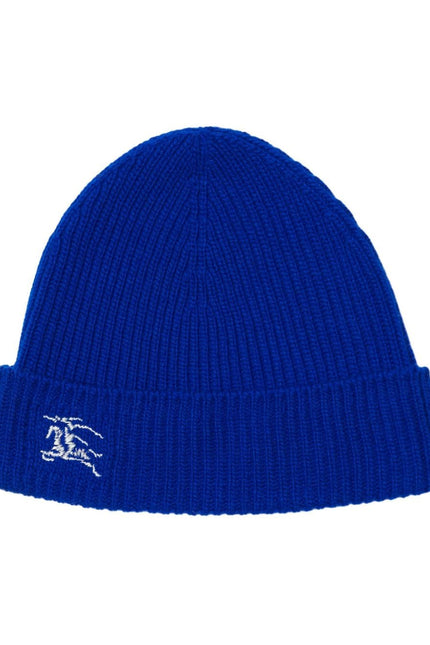 Burberry Hats Blue