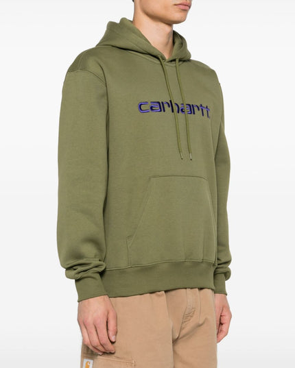 CARHARTT WIP MAIN Sweaters Green