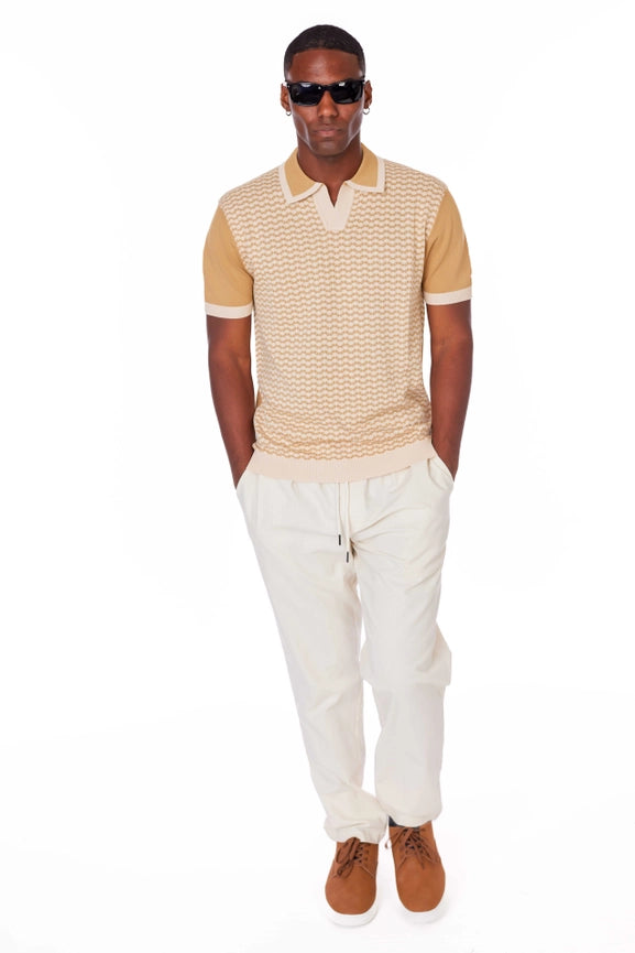 Men's Textured Polo Shirt  (A31113)