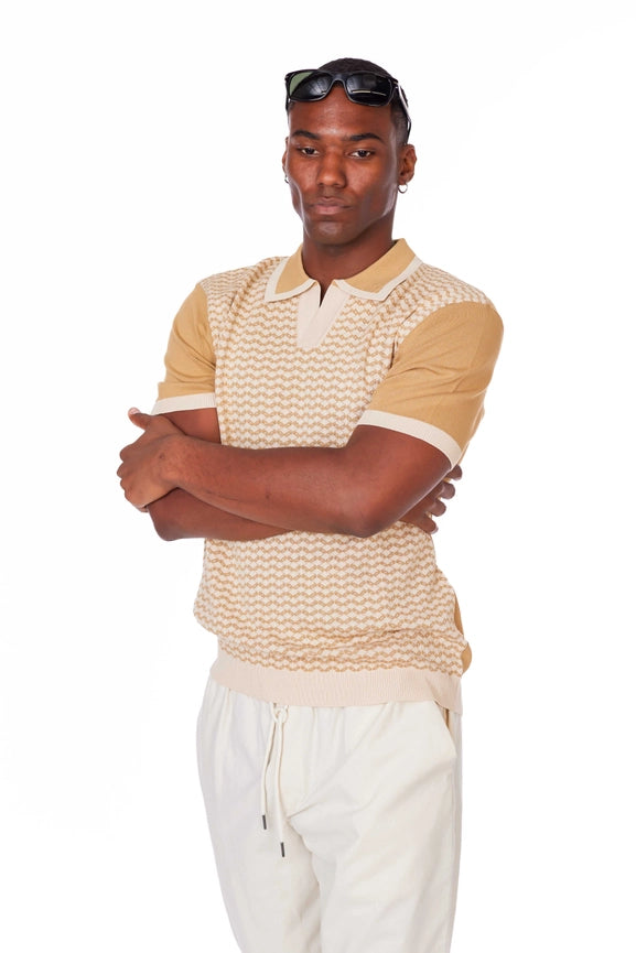 Men's Textured Polo Shirt  (A31113)