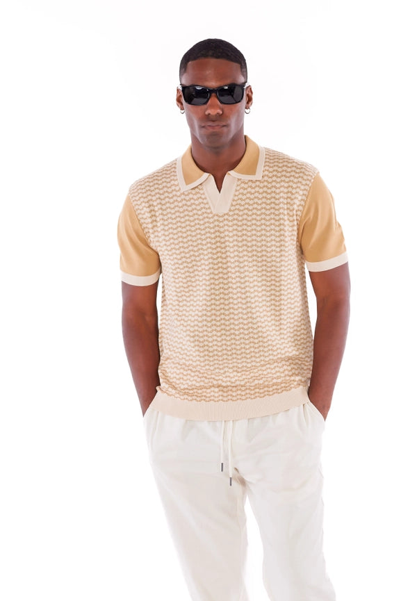 Men's Textured Polo Shirt  (A31113)