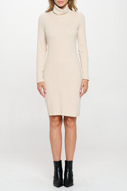 Solid Rib Knit Turtleneck Bodycon Dress-1