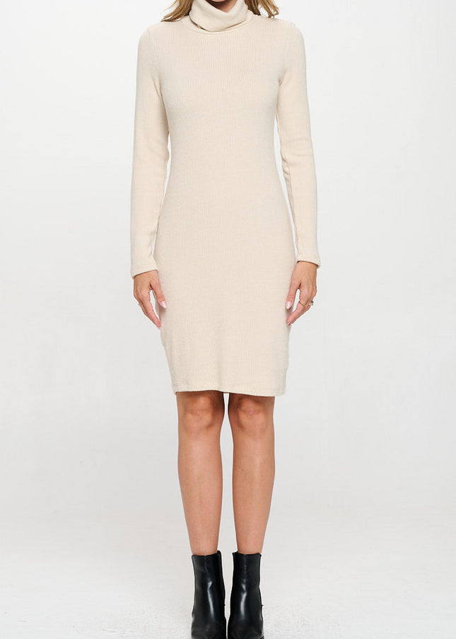 Solid Rib Knit Turtleneck Bodycon Dress-1