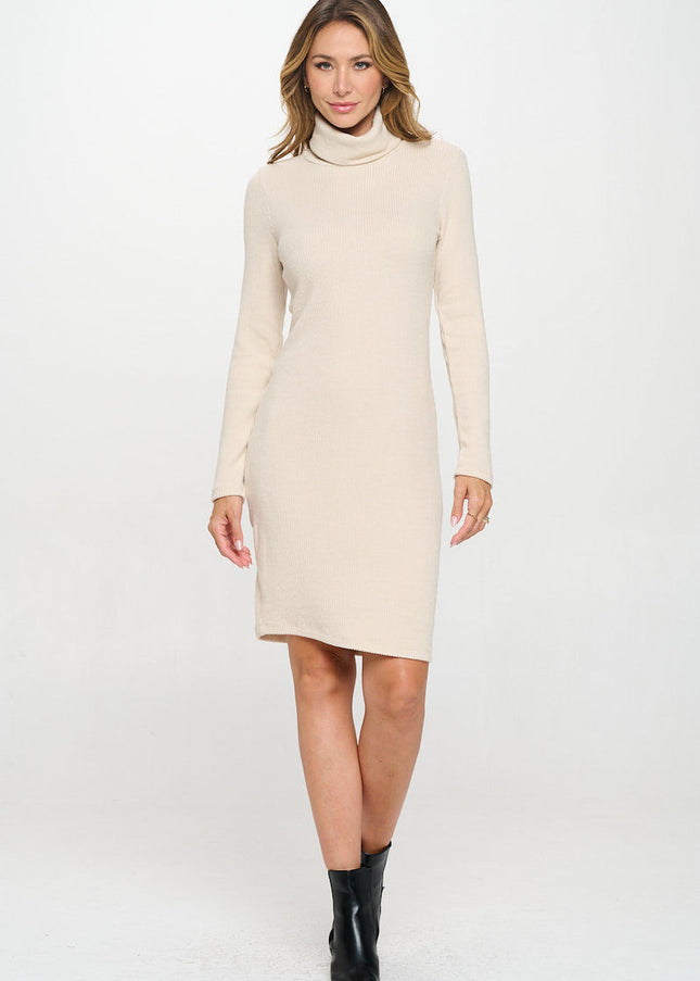 Solid Rib Knit Turtleneck Bodycon Dress-2