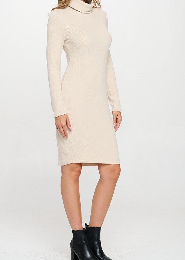 Solid Rib Knit Turtleneck Bodycon Dress-3