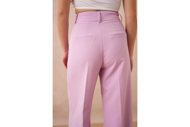 Timeless Double-Breasted Wide-Cut Plain Pants Lilac