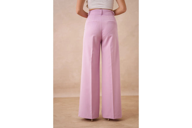 Timeless Double-Breasted Wide-Cut Plain Pants Lilac