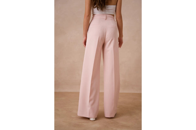 Timeless Double-Breasted Wide-Cut Plain Pants  Pink