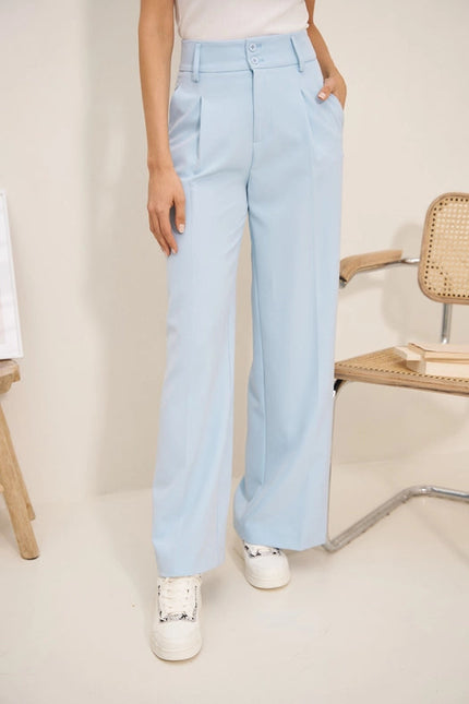 Timeless Double-Breasted Wide-Cut Plain Pants Sky Blue