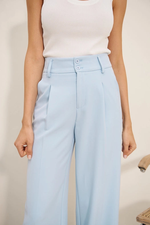 Timeless Double-Breasted Wide-Cut Plain Pants Sky Blue