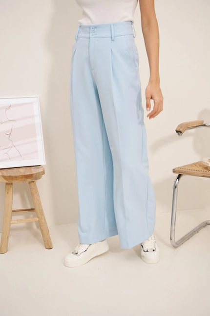 Timeless Double-Breasted Wide-Cut Plain Pants Sky Blue