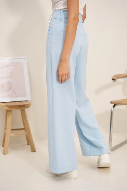 Timeless Double-Breasted Wide-Cut Plain Pants Sky Blue