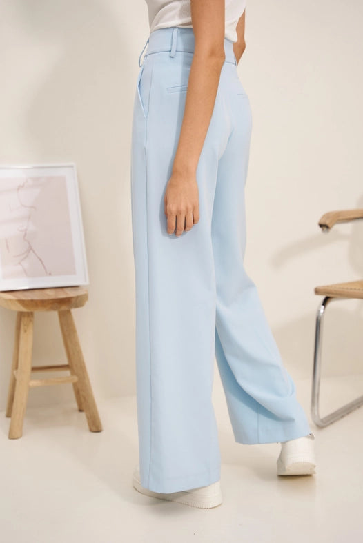 Timeless Double-Breasted Wide-Cut Plain Pants Sky Blue