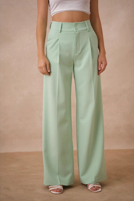 Timeless Double-Breasted Wide-Cut Plain Pants Water Green