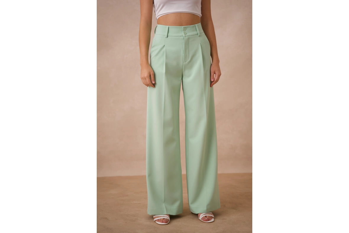 Timeless Double-Breasted Wide-Cut Plain Pants Water Green