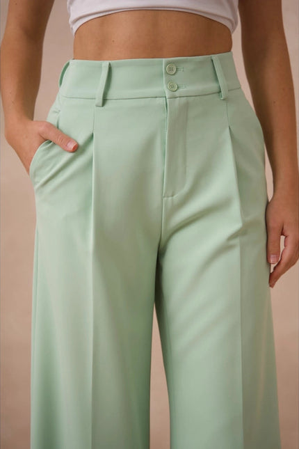 Timeless Double-Breasted Wide-Cut Plain Pants Water Green