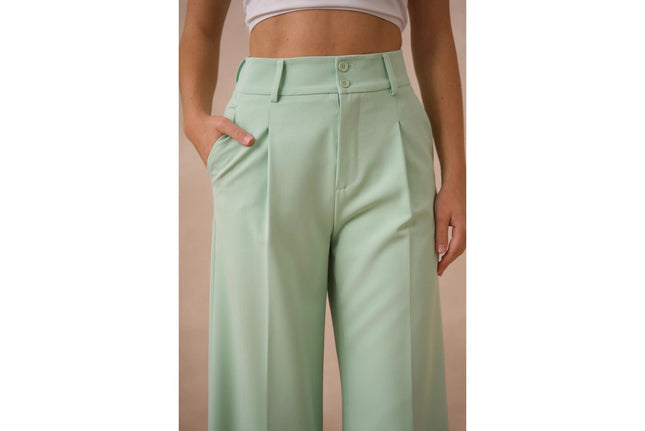 Timeless Double-Breasted Wide-Cut Plain Pants Water Green