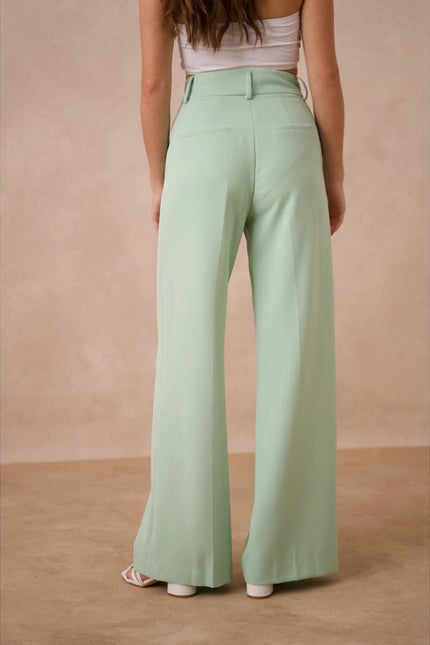 Timeless Double-Breasted Wide-Cut Plain Pants Water Green