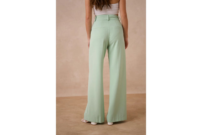 Timeless Double-Breasted Wide-Cut Plain Pants Water Green