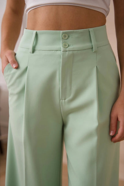 Timeless Double-Breasted Wide-Cut Plain Pants Water Green