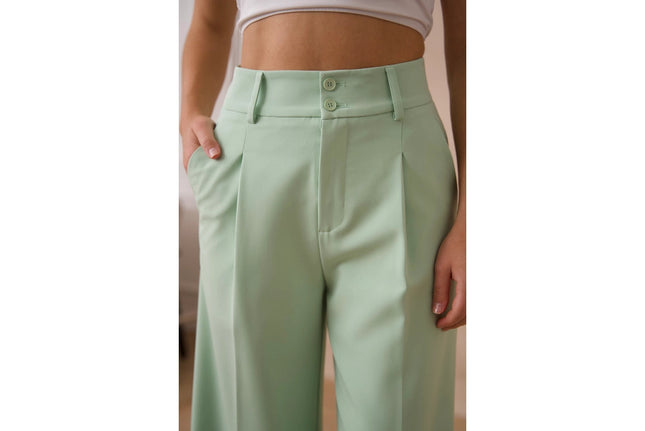 Timeless Double-Breasted Wide-Cut Plain Pants Water Green