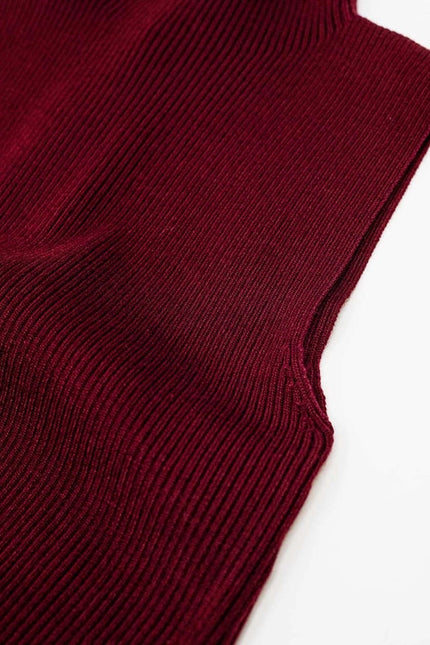 Turtle Neck Ribbed Top in Burgundy