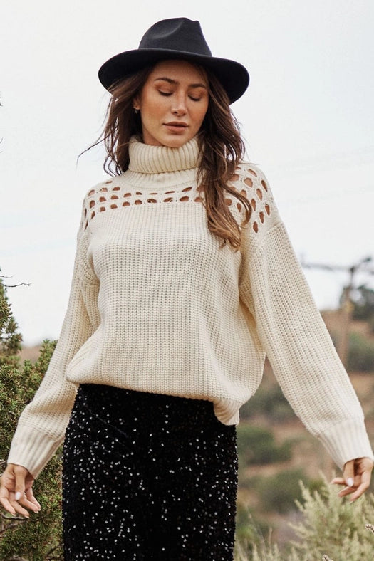 Turtleneck Knit Sweater