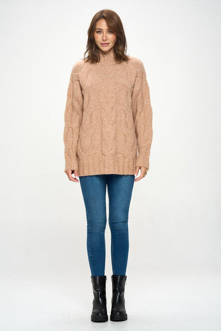 Turtleneck Long Sleeve Sweater with Braid Detail-3