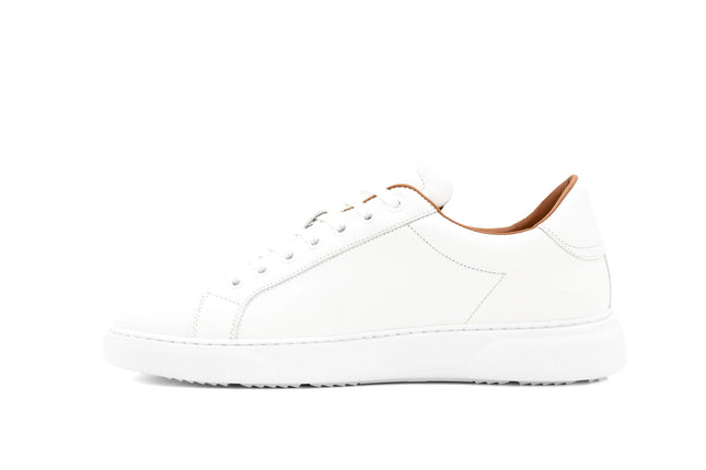 White Sneakers-Sneakers-Cavalinho North America-Urbanheer