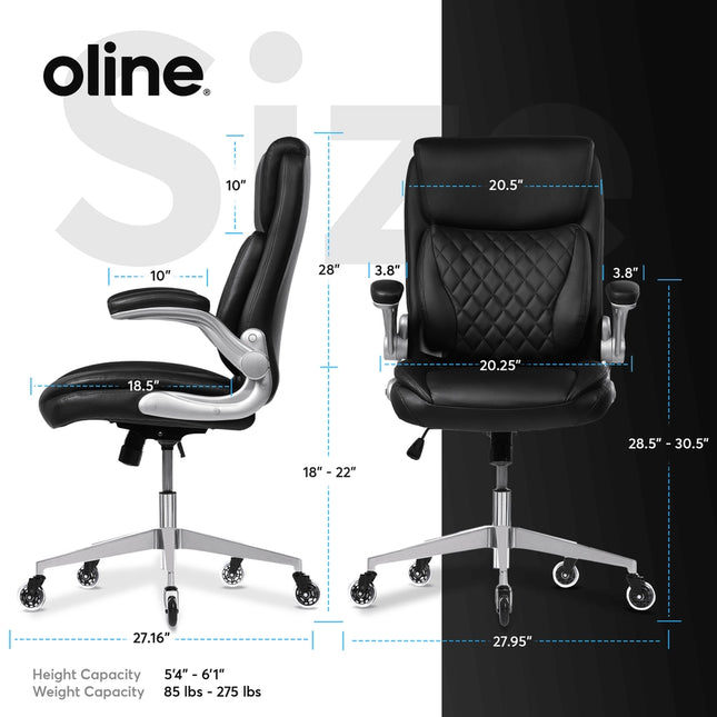 Ergoace Executive Ergonomic Office Chair Black-Office Chairs-Oline-Black-Urbanheer