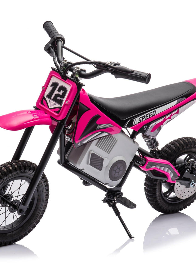 36V Freddo Electric Dirt Bike With Brushless Motor