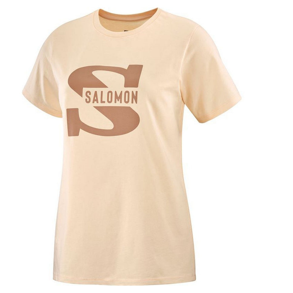 Men’s Short Sleeve T-Shirt Salomon Big Logo Nude Beige Brown-Clothing - Men-Salomon-Urbanheer