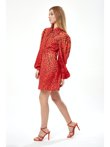 Liquorish Animal Print Mini Dress-Liquorish-Urbanheer